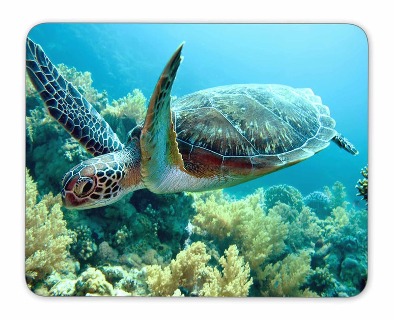 QJ CMJ Green sea Turtle Mouse pad  Natural Rubber Mouse Pad  Quality Creative Wrist-Protected Wristbands Personalized Desk  Mouse Pad (9.5 inch x 7.9 inch) - Image 1